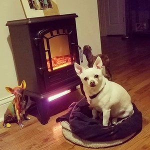 Meet your Posher, Joann